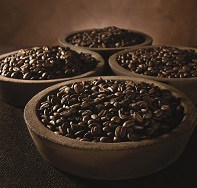 Caff&egrave; gourmet per ristoranti