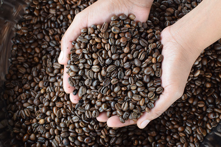 Arabica o Robusta