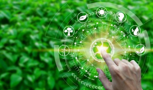 Caff&egrave; Arabica e sostenibilit&agrave;